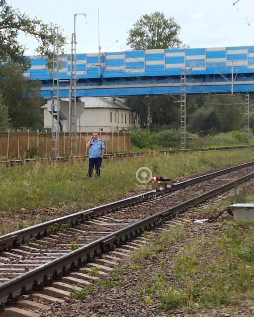 Станция Жаворонки