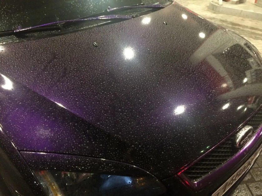 Черника цвет авто