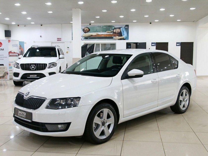 Люди покупающие шкоду