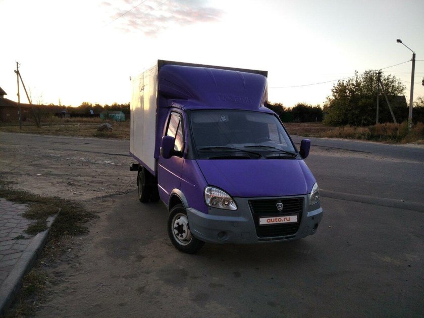 Цвет Юниор Газель