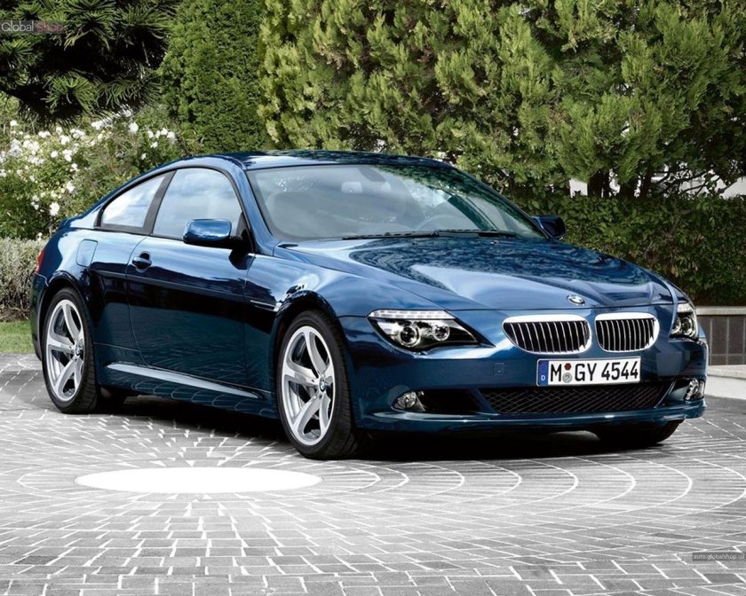 BMW 6