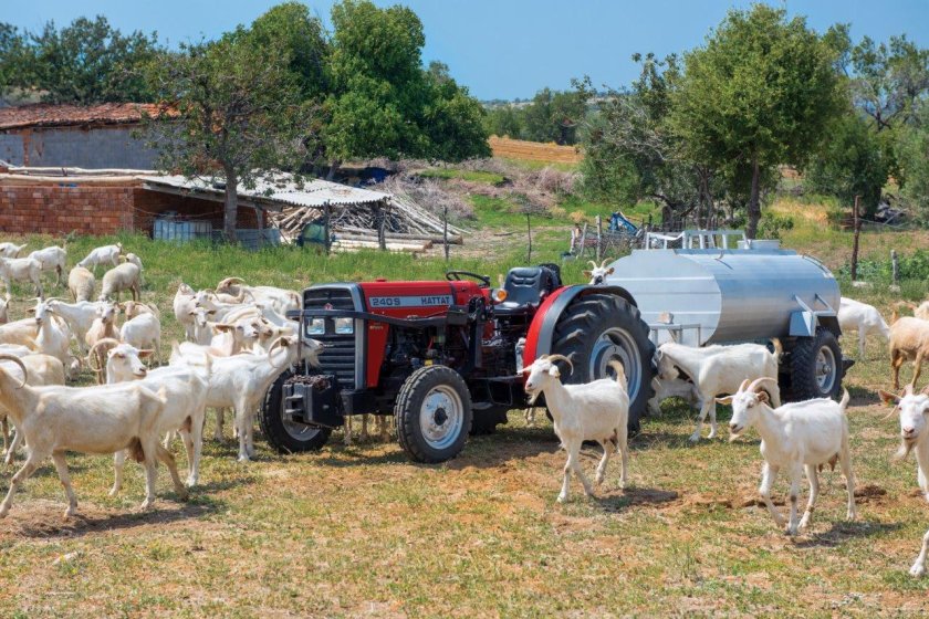 Hattat трактор