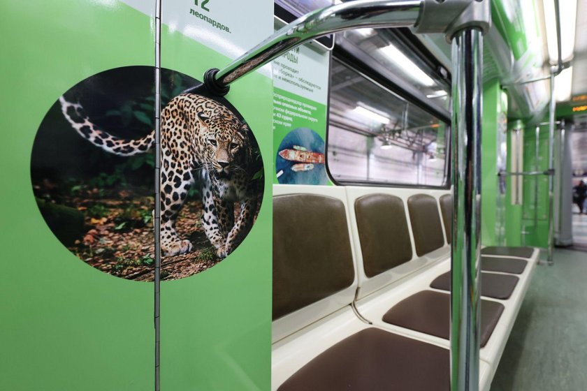 Метро для бизнеса