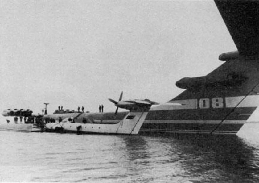 Бартини ВВА-14