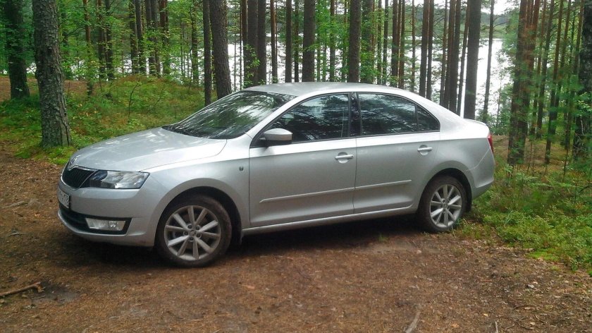 Шкода Рапид серебристый