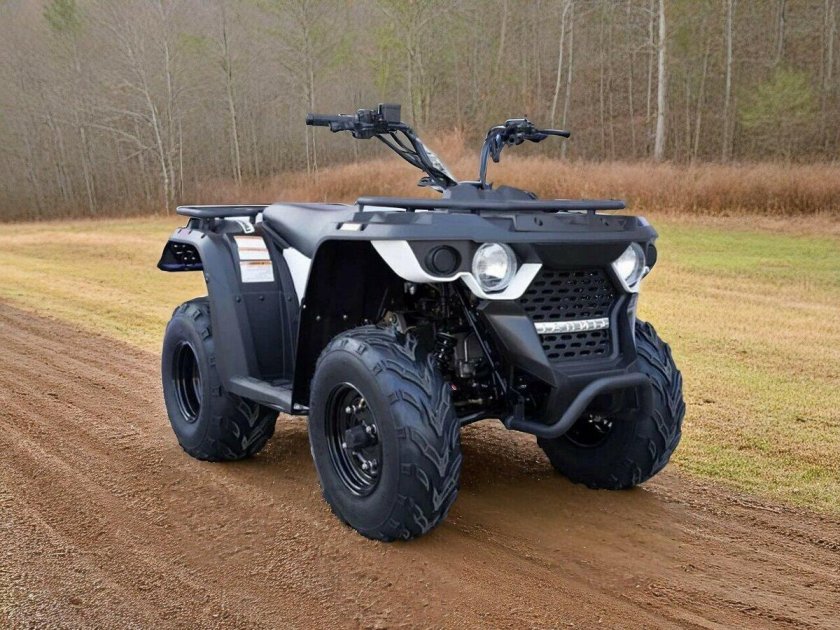 Suzuki kingquad 400