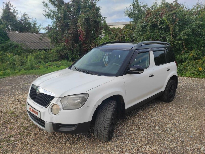 Yeti 2012 белый полный окрас