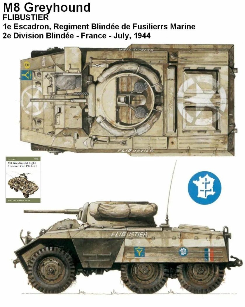 М8 Грейхаунд 1/35