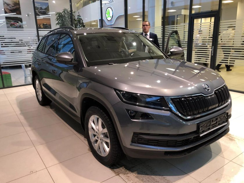 Шкода Кодиак серый