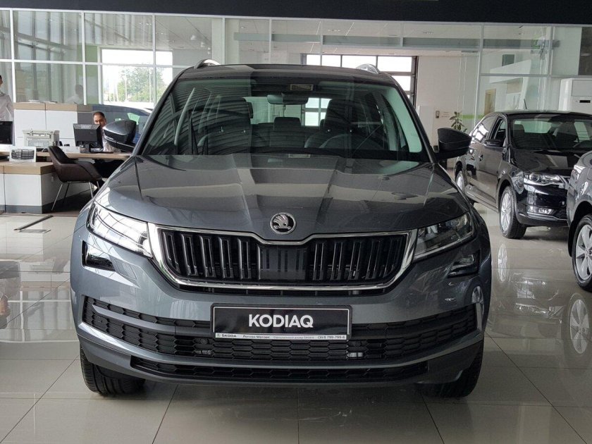 Skoda Kodiaq Grey