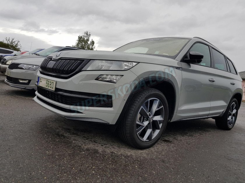 Skoda Kodiaq Grey