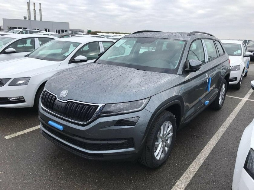 Skoda Kodiaq 2016 — 2022 i серый