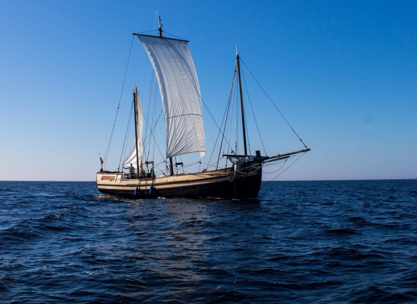 Сибирский Коч