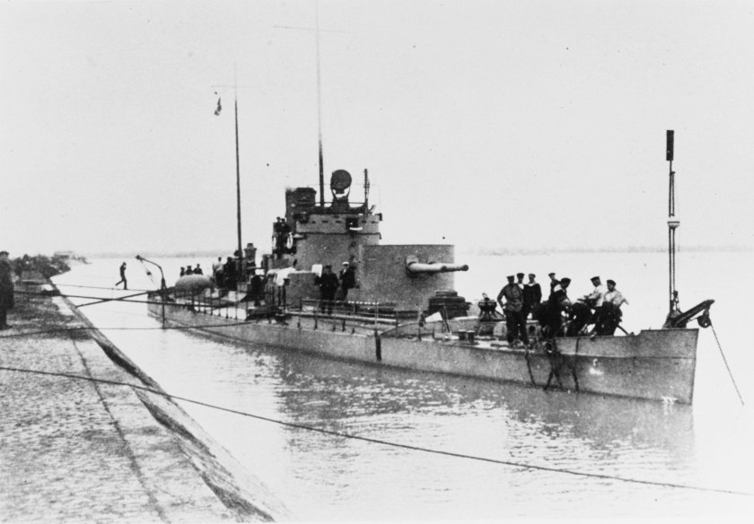 Австро-венгерские речные мониторы