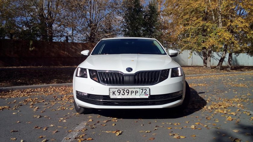 Skoda Octavia a7 белая