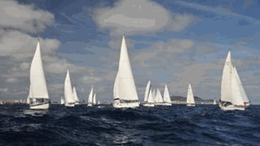 Парусная регата Сидней