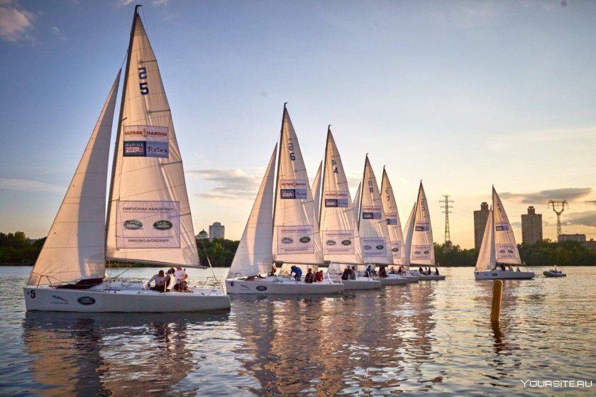 Яхта регата