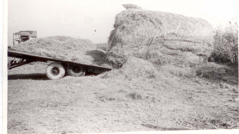 Стоговоз сп-60