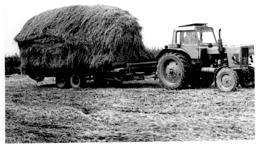 МТЗ 80 сенокос