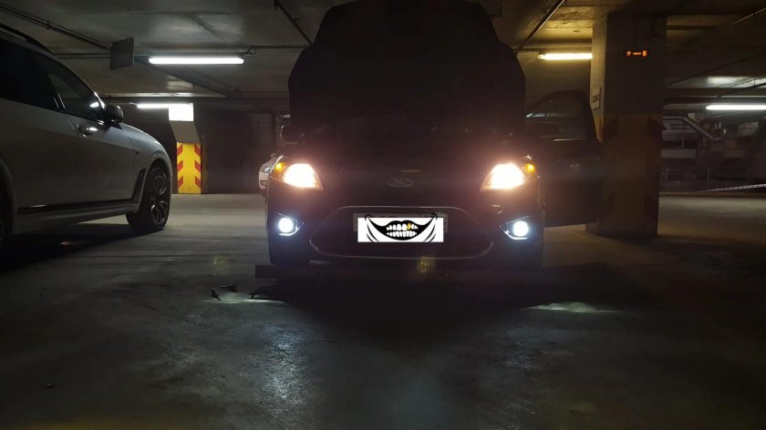 Salman ПТФ Focus 2