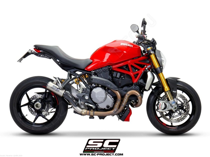 Ducati monster 1200 sc-project
