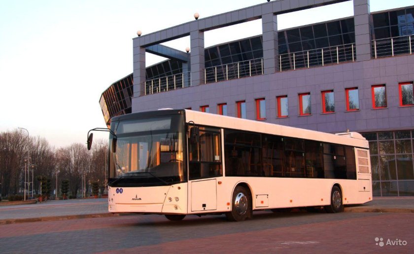 Автобус МАЗ 203015