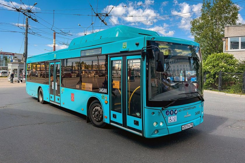 МАЗ Питерский