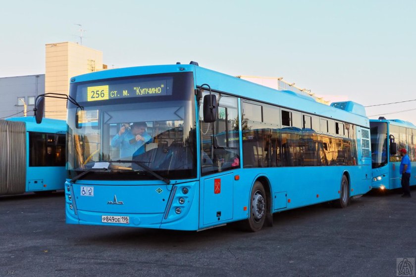 МАЗ 203047 автобус