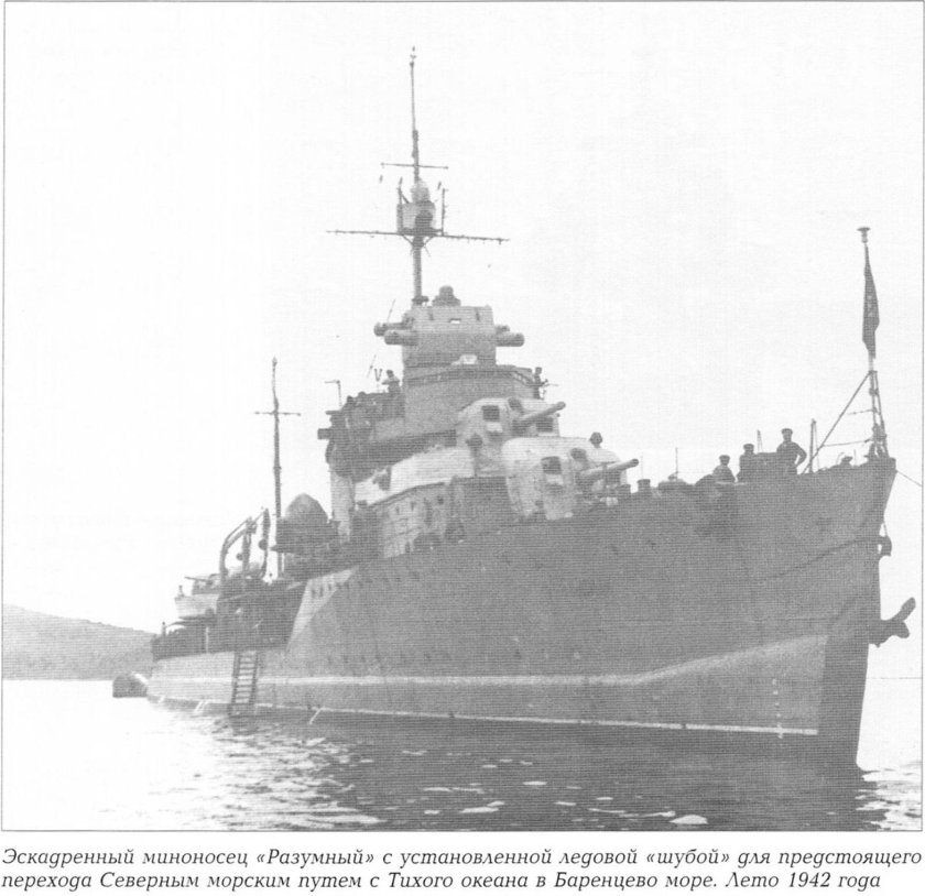 Эсминец разумный