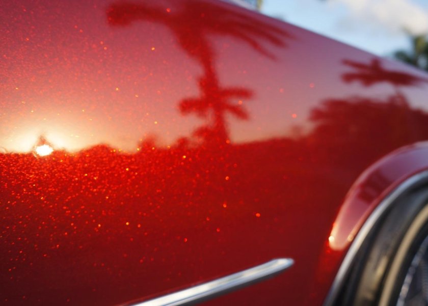 Красный ксералик Кэнди