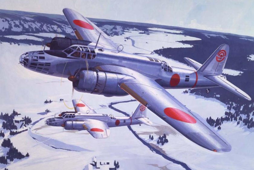 Nakajima ki-49 Donryu