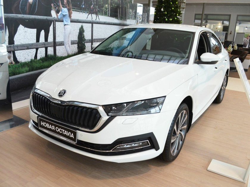Шкода Октавия белая 2020 лифтбек