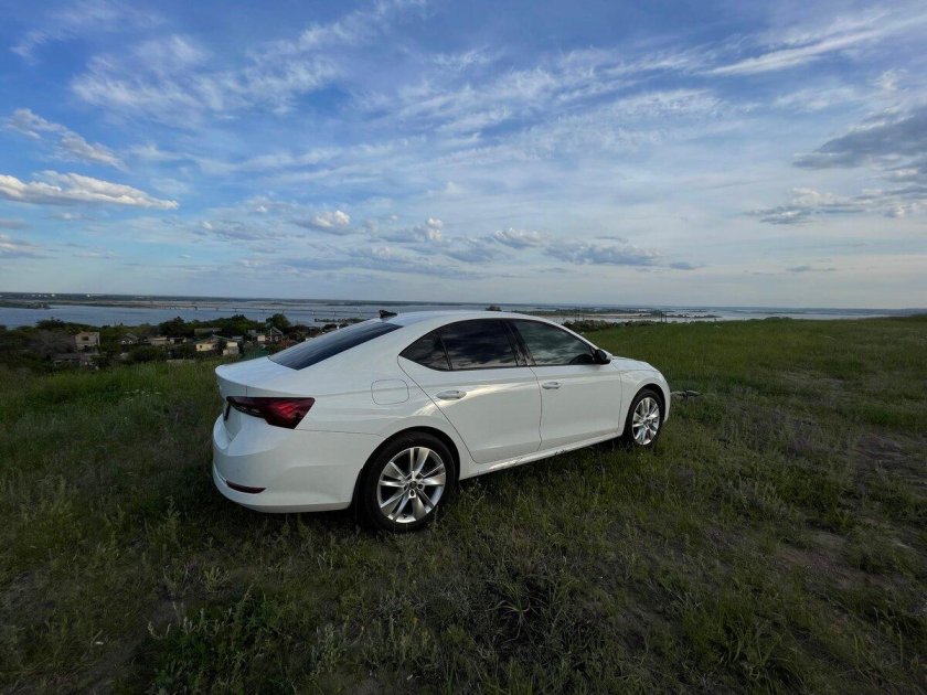 Белая шкода октавия