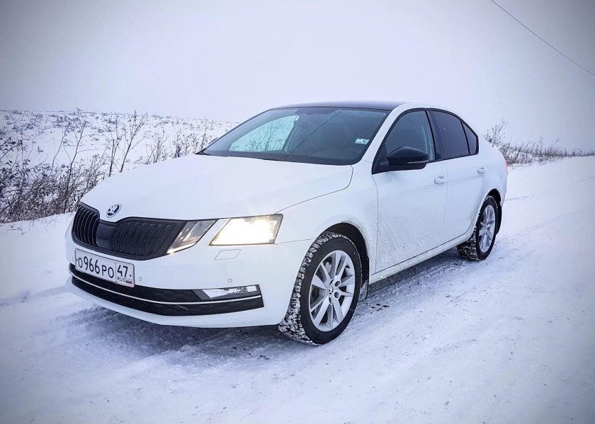 Шкода Октавия а8 белая