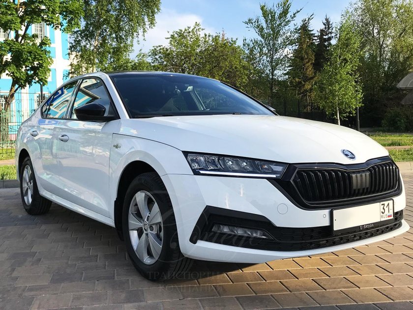 Шкода Октавиа белый 2018 такси а 342 РС 799