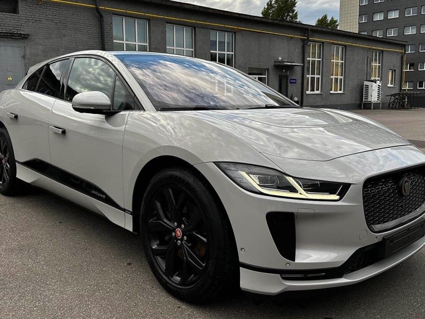 Ягуар 2 цветов