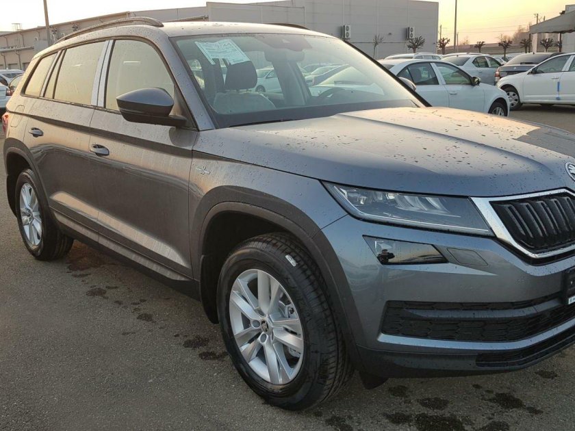 Skoda Kodiaq Ambition стальной