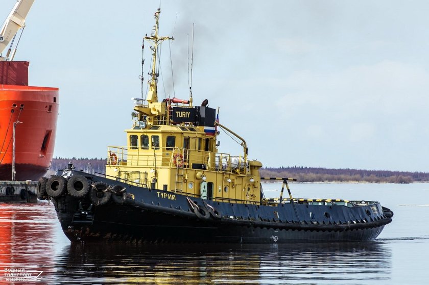 Буксир Турий Архангельск