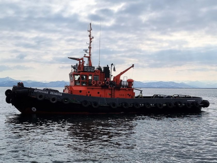 Сухогрузы морские