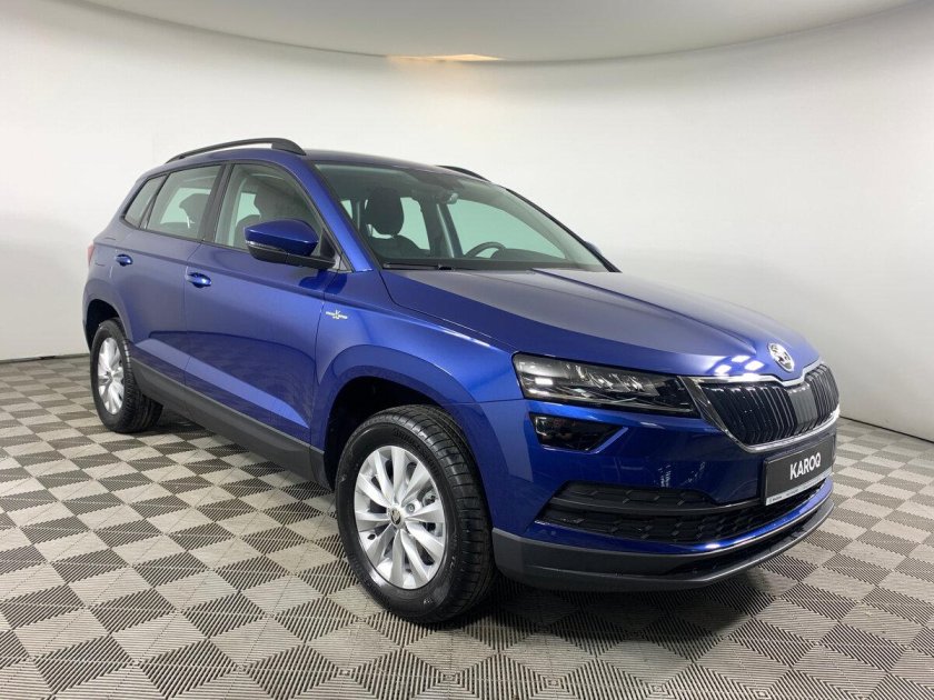 29 Шкода Псков