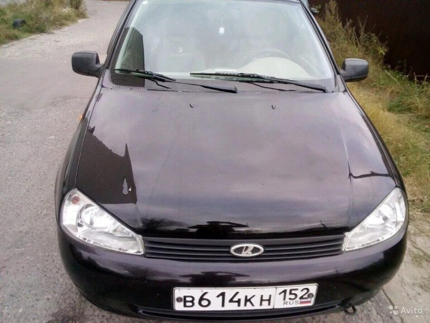 Черный трюфель 651 Калина