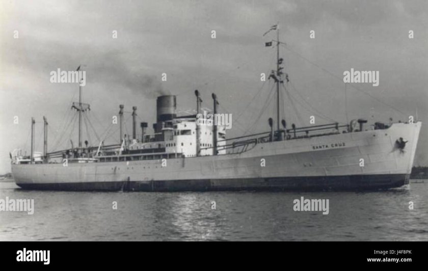 Корморан вспомогательный крейсер