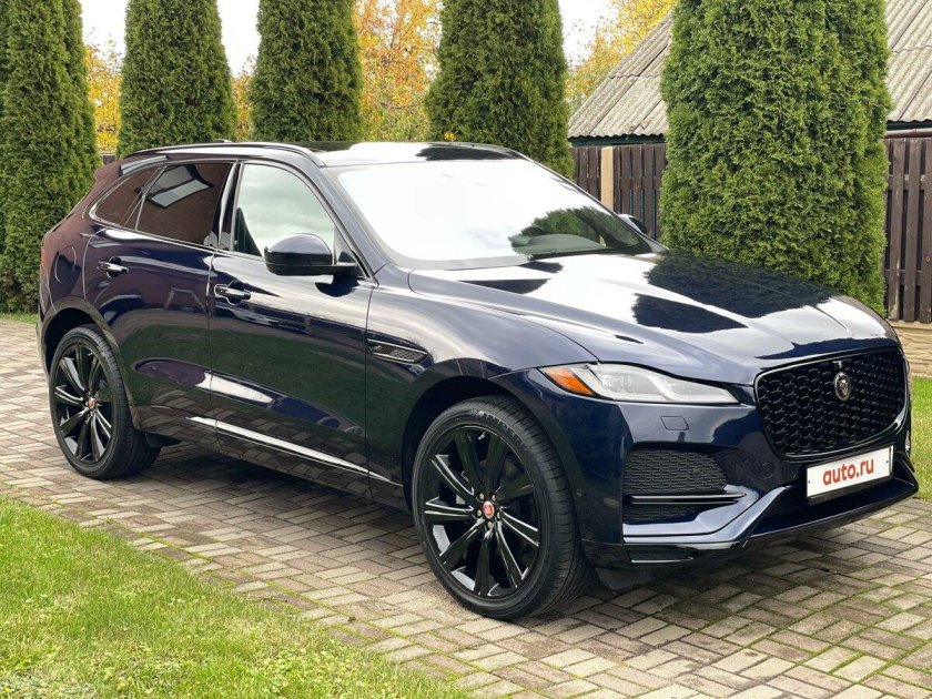 Ягуар синий