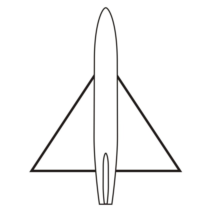 Самолет с треугольным крылом