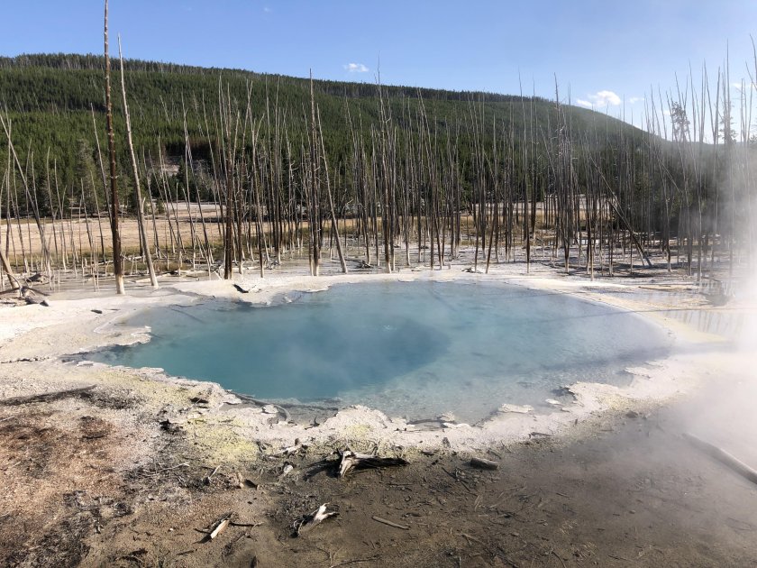 Yellowstone National Park Geysers