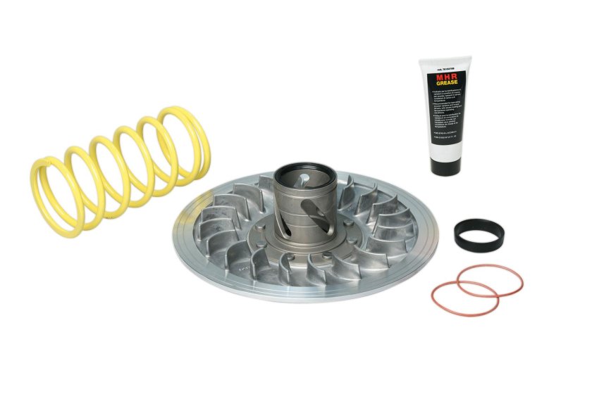 Торка малосси