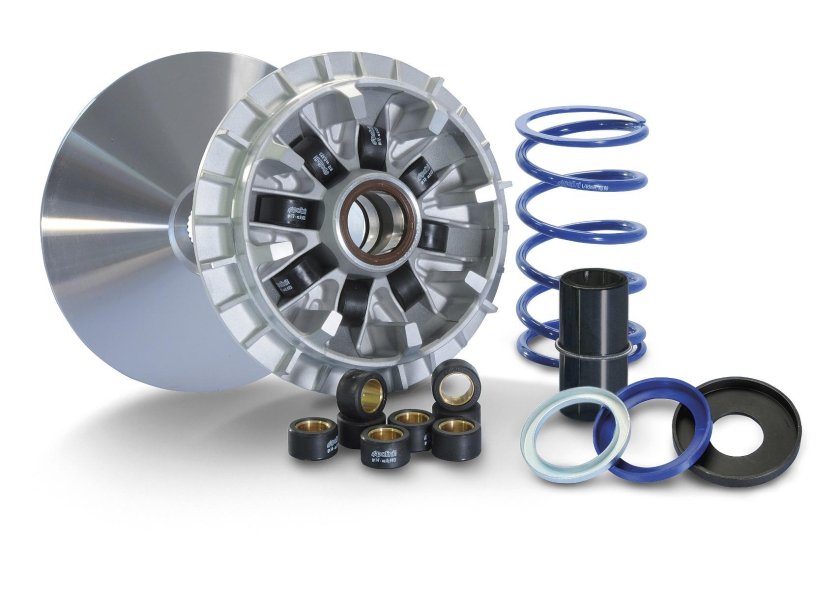 Вариатор полини