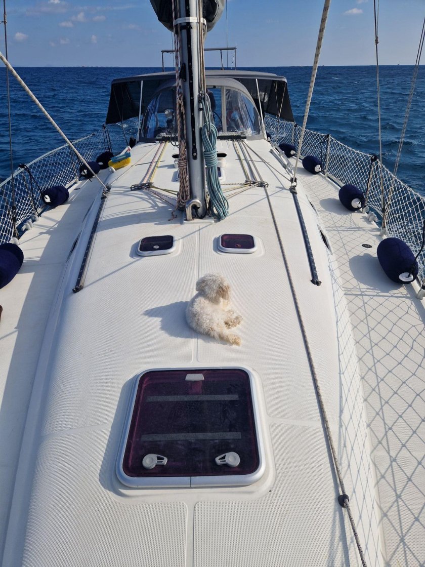 На яхте вокруг света