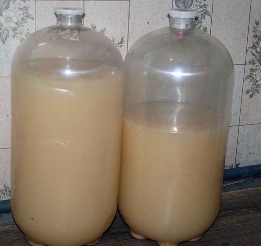 Настаивание браги для самогона