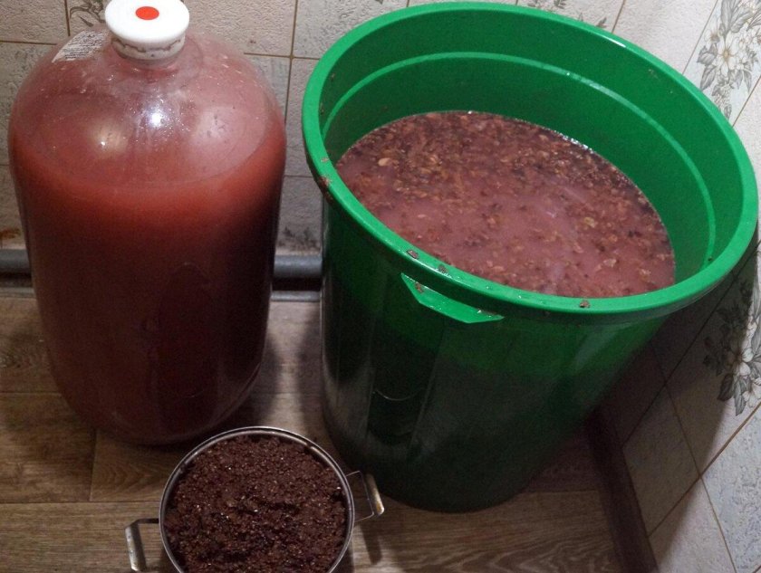 Брага из винограда